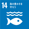 SDG's目標14